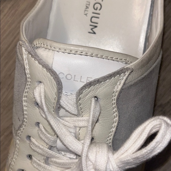 Collegium - Picture 5 of 8